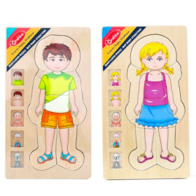 Puzzle Etapas del Cuerpo